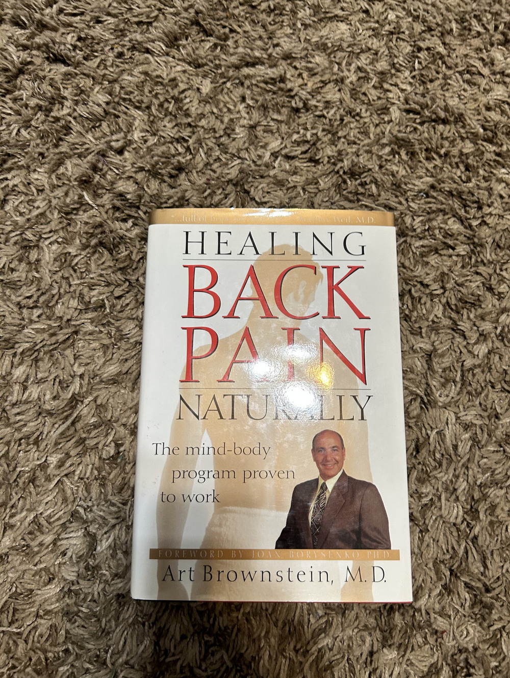 Healing Back Pain Naturally by Art Brownstein, M.D. - Paperback Book